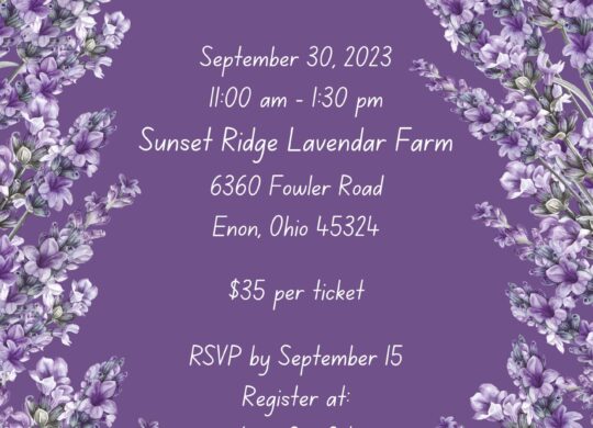 Save The Date: Purses & Pastries at The Sunset Ridge Lavender Farm